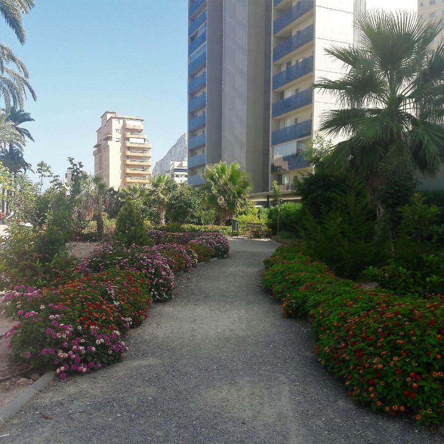 Mirador Apart كاليبي المظهر الخارجي الصورة
