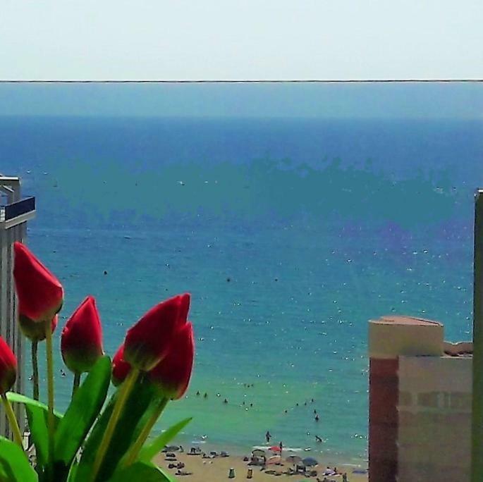 Mirador Apart كاليبي المظهر الخارجي الصورة