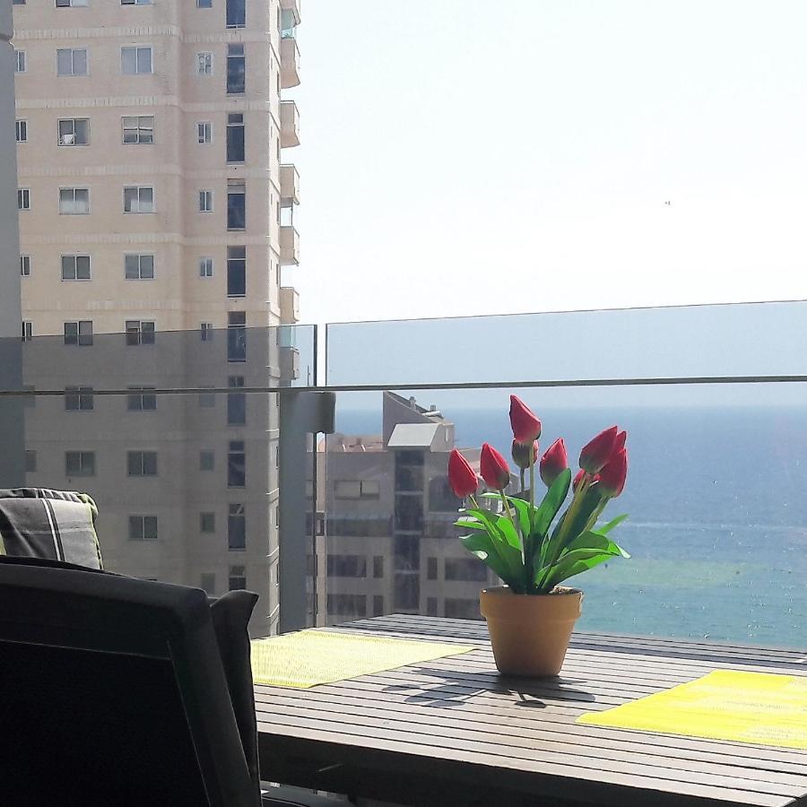 Mirador Apart كاليبي المظهر الخارجي الصورة